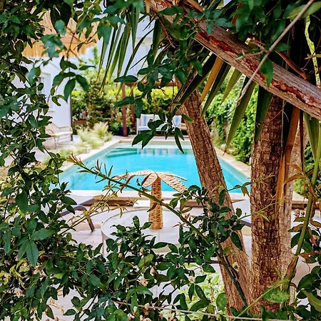 La Montcalm * Montpellier